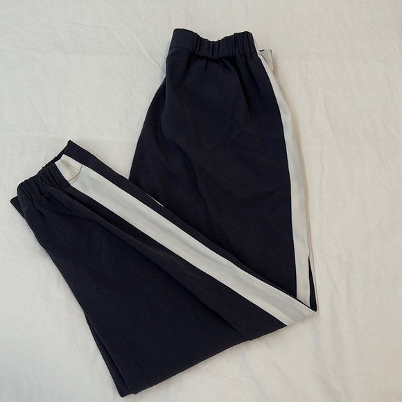 Aritzia Babaton Dexter Pants - Picture 3 of 6